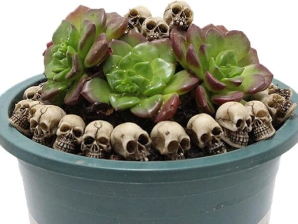 40Pcs Mini Skull Figurine - Halloween Skeleton Head Statue and Miniature Heads for Decoration - Image 2